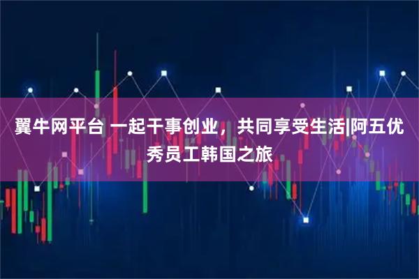 翼牛网平台 一起干事创业，共同享受生活|阿五优秀员工韩国之旅